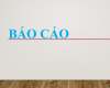 BÁO CÁO